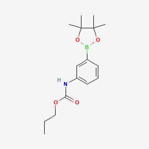 propyl N-[3-(4,4,5,5-tetramethyl-1,3,2-dioxaborolan-2-yl)phenyl]carbamate