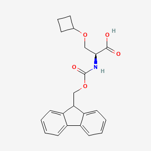 (2S)-3-(Cyclobutoxy)-2-(9H-fluoren-9-ylmethoxycarbonylamino)propanoic acid