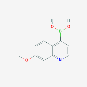 (7-Methoxyquinolin-4-yl)boronic acid