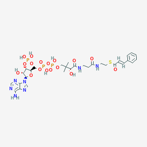 molecular formula C30H42N7O17P3S B153736 肉桂酰辅酶A CAS No. 76109-04-1