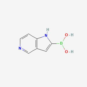 5-Azaindol-2-yl boronic acid