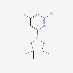 molecular formula C12H17BClNO2 B15378769 (6-Chloro-4-methylpyridin-2-YL)boronic acid pinacol ester 