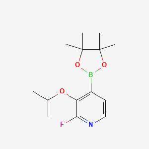 molecular formula C14H21BFNO3 B15380004 2-Fluoro-3-isopropoxy-4-(4,4,5,5-tetramethyl-1,3,2-dioxaborolan-2-yl)pyridine 