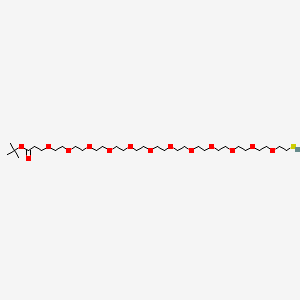 molecular formula C31H62O14S B15382901 HS-PEG12-CH2CH2COOtBu 