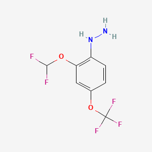 1-(2-(Difluoromethoxy)-4-(trifluoromethoxy)phenyl)hydrazine