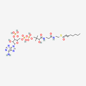 S-[2-[3-[[4-[[[5-(6-aminopurin-9-yl)-4-hydroxy-3-phosphonooxyoxolan-2-yl]methoxy-hydroxyphosphoryl]oxy-hydroxyphosphoryl]oxy-2-hydroxy-3,3-dimethylbutanoyl]amino]propanoylamino]ethyl] oct-2-enethioate