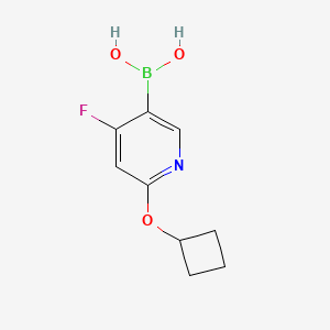 (6-Cyclobutoxy-4-fluoropyridin-3-yl)boronic acid