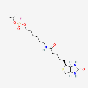 molecular formula C19H35FN3O5PS B15391544 6-N-Biotinylaminohexyl Isopropyl Phosphorofluoridate, Hemihydrate 