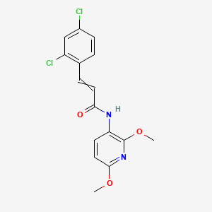 molecular formula C16H14Cl2N2O3 B15408493 3-(2,4-Dichlorophenyl)-N-(2,6-dimethoxypyridin-3-yl)prop-2-enamide CAS No. 821005-50-9