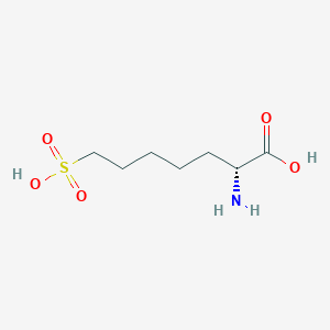 (2R)-2-Amino-7-sulfoheptanoic acid