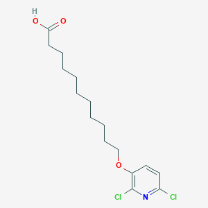 molecular formula C16H23Cl2NO3 B15451282 11-[(2,6-Dichloropyridin-3-YL)oxy]undecanoic acid CAS No. 62805-12-3