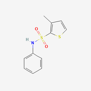 3-Methyl-N-phenylthiophene-2-sulfonamide