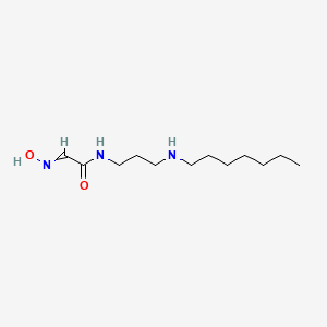 N-[3-(Heptylamino)propyl]-2-(hydroxyimino)acetamide