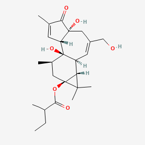 12-Deoxyphorbol-13-(2-methylbutyrate)