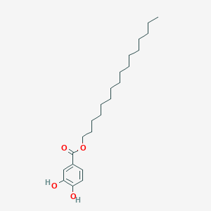 Hexadecyl 3,4-dihydroxybenzoate