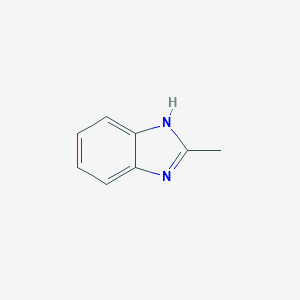 molecular formula C8H8N2 B154957 2-甲基苯并咪唑 CAS No. 615-15-6