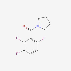 molecular formula C11H10F3NO B15498838 Pyrrolidin-1-yl(2,3,6-trifluorophenyl)methanone 