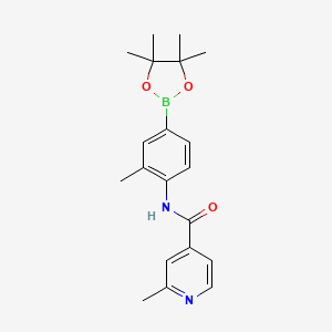 2-methyl-N-[2-methyl-4-(4,4,5,5-tetramethyl-1,3,2-dioxaborolan-2-yl)phenyl]pyridine-4-carboxamide