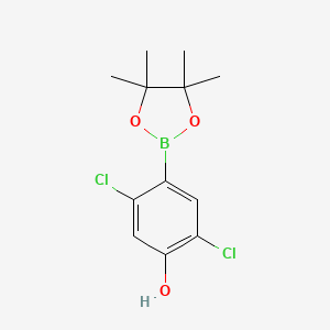 2,5-Dichloro-4-(4,4,5,5-tetramethyl-1,3,2-dioxaborolan-2-yl)phenol