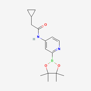 2-cyclopropyl-N-[2-(4,4,5,5-tetramethyl-1,3,2-dioxaborolan-2-yl)pyridin-4-yl]acetamide