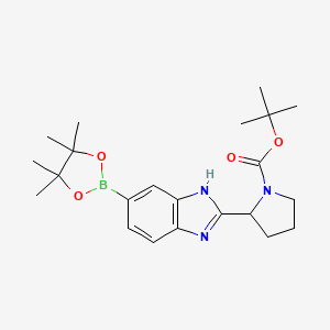 2-[5-(4,4,5,5-Tetramethyl-[1,3,2]dioxaborolan-2-yl)-1H-benzoimidazol-2-yl]-pyrrolidine-1-carboxylic acid tert-butyl ester