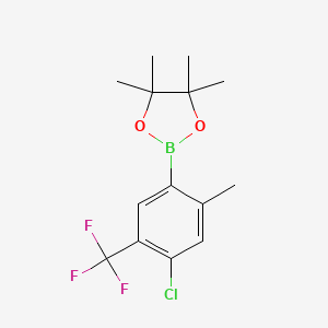 molecular formula C14H17BClF3O2 B15506431 4-Chloro-5-trifluoromethyl-2-methylphenylboronic acid pinacol ester 