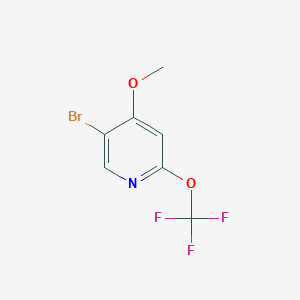 5-Bromo-4-methoxy-2-trifluoromethoxy-pyridine