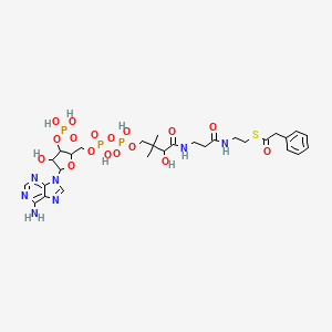 S-{1-[5-(6-Amino-9H-purin-9-yl)-4-hydroxy-3-(phosphonooxy)oxolan-2-yl]-3,5,9-trihydroxy-8,8-dimethyl-3,5,10,14-tetraoxo-2,4,6-trioxa-11,15-diaza-3lambda~5~,5lambda~5~-diphosphaheptadecan-17-yl} phenylethanethioate