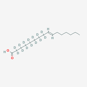 (E)-2,2,3,3,4,4,5,5,6,6,7,7,8,8-tetradecadeuteriohexadec-9-enoic acid