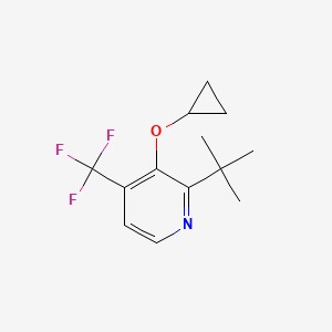 2-Tert-butyl-3-cyclopropoxy-4-(trifluoromethyl)pyridine