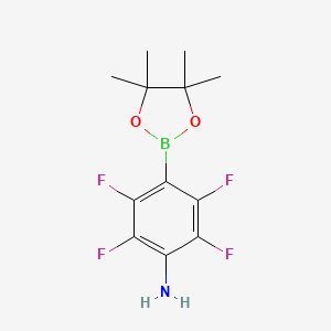 2,3,5,6-Tetrafluoro-4-(4,4,5,5-tetramethyl-1,3,2-dioxaborolan-2-YL)aniline