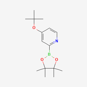 4-(Tert-butoxy)pyridine-2-boronic acid pinacol ester