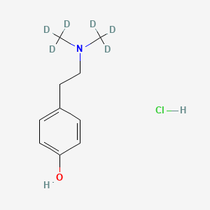 molecular formula C10H16ClNO B15524129 4-[2-[Bis(trideuteriomethyl)amino]ethyl]phenol;hydrochloride 