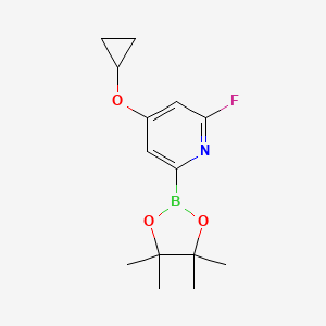 molecular formula C14H19BFNO3 B15524784 4-Cyclopropoxy-2-fluoro-6-(4,4,5,5-tetramethyl-1,3,2-dioxaborolan-2-YL)pyridine 