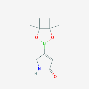 molecular formula C10H16BNO3 B15524897 5-Oxo-2,5-dihydro-1H-pyrrole-3-boronic acid pinacol ester 