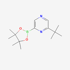 6-(Tert-butyl)pyrazine-2-boronic acid pinacol ester