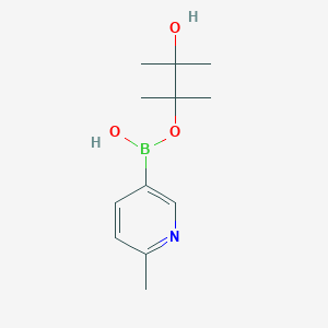 molecular formula C12H20BNO3 B15525477 (3-Hydroxy-2,3-dimethylbutan-2-yl)oxy-(6-methylpyridin-3-yl)borinic acid 