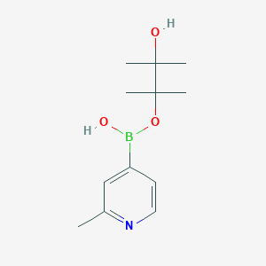 (3-Hydroxy-2,3-dimethylbutan-2-yl)oxy-(2-methylpyridin-4-yl)borinic acid