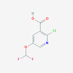 molecular formula C7H4ClF2NO3 B15525832 2-Chloro-5-(difluoromethoxy)nicotinic acid 