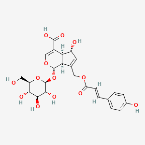 10-O-trans-p-coumaroylscandoside