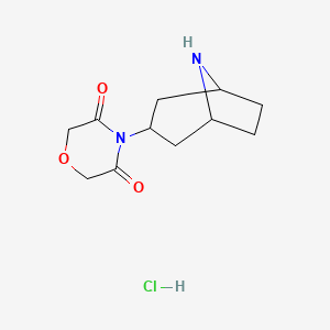 4-(8-Azabicyclo[3.2.1]octan-3-yl)morpholine-3,5-dione hydrochloride