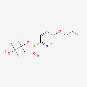 3-Hydroxy-2,3-dimethylbutan-2-yl hydrogen (5-propoxypyridin-2-yl)boronate