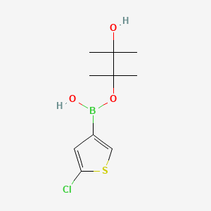 3-Hydroxy-2,3-dimethylbutan-2-yl hydrogen (5-chlorothiophen-3-yl)boronate