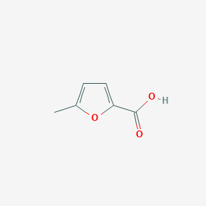 molecular formula C6H6O3 B156158 5-甲基呋喃-2-羧酸 CAS No. 1917-15-3
