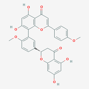 B157436 2,3-Dihydroisoginkgetin CAS No. 828923-27-9