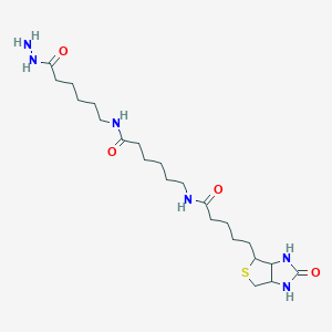 molecular formula C22H40N6O4S B157473 N-(6-Hydrazinyl-6-oxohexyl)-6-{[5-(2-oxohexahydro-1H-thieno[3,4-d]imidazol-4-yl)pentanoyl]amino}hexanamide CAS No. 211237-33-1