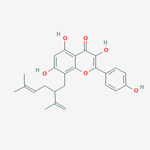 molecular formula C25H26O6 B157502 8-Lavandulylkaempferol CAS No. 883859-83-4