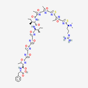  B1576833 (2S)-2-[[(4S)-2-[2-[2-[2-[2-[(1S,2S)-1-[[(3S)-2-[[2-[2-[2-[2-[2-[(1S)-4-(diaminomethylideneamino)-1-(dimethylamino)butyl]-1,3-thiazol-4-yl]-5-methyl-1,3-oxazol-4-yl]-1,3-thiazol-4-yl]-5-methyl-1,3-oxazol-4-yl]-5-methyl-1,3-oxazole-4-carbonyl]amino]-3-methylpentanoyl]amino]-2-methylbutyl]-1,3-oxazol-4-yl]-1,3-oxazol-4-yl]-1,3-oxazol-4-yl]-1,3-oxazol-4-yl]-5-methyl-4,5-dihydro-1,3-oxazole-4-carbonyl]amino]-3-phenylpropanoic acid 