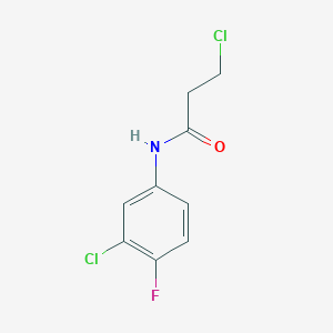 molecular formula C9H8Cl2FNO B157723 3-氯-N-(3-氯-4-氟苯基)丙酰胺 CAS No. 131605-66-8
