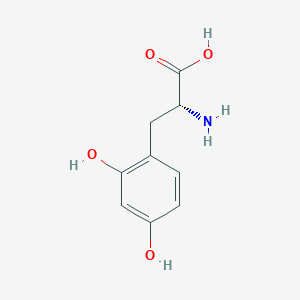  B1579428 (2R)-2-amino-3-(2,4-dihydroxyphenyl)propanoic acid 